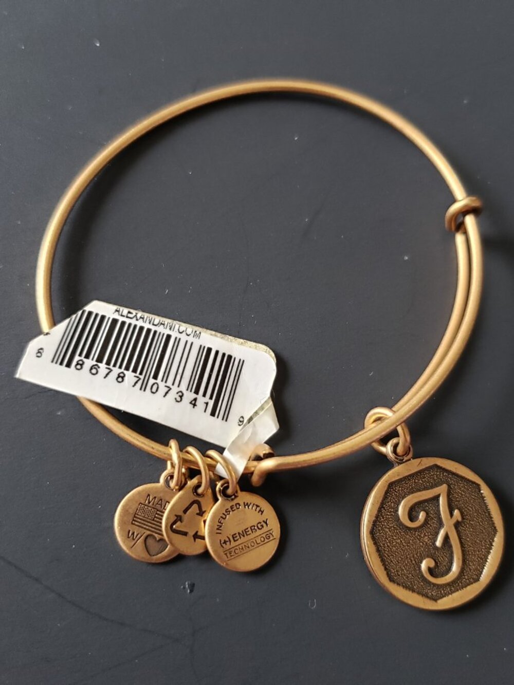 Alex and Ani F Initial Letter Gold Charm Bracelet 706